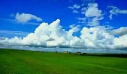 草原先生最新爆料,娱乐圈幕后真相大曝光！